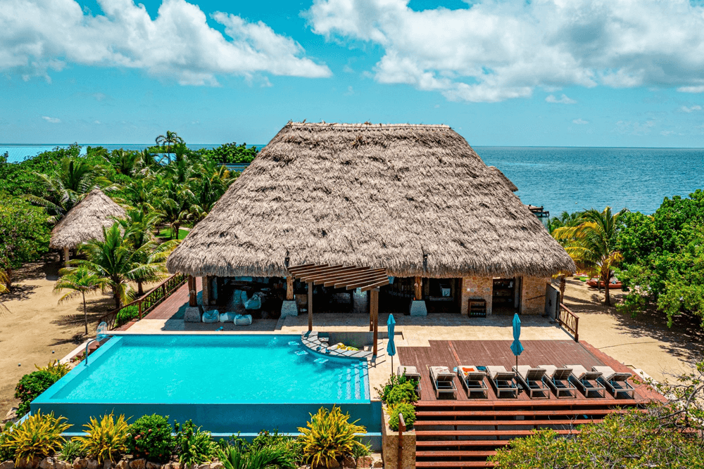 A tropical villa with a thatched roof, swimming pool, and palm trees overlooking the ocean.