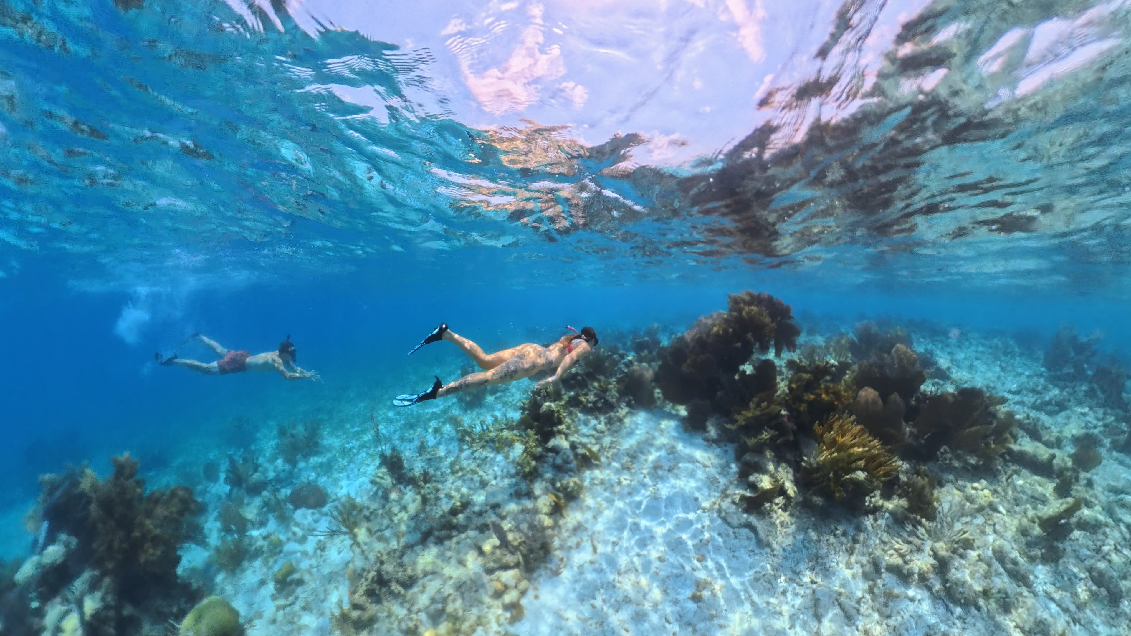 Two people snorkeling over a vibrant coral reef in clear blue water.